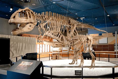 nagoya city science museum|nagoya train museum.